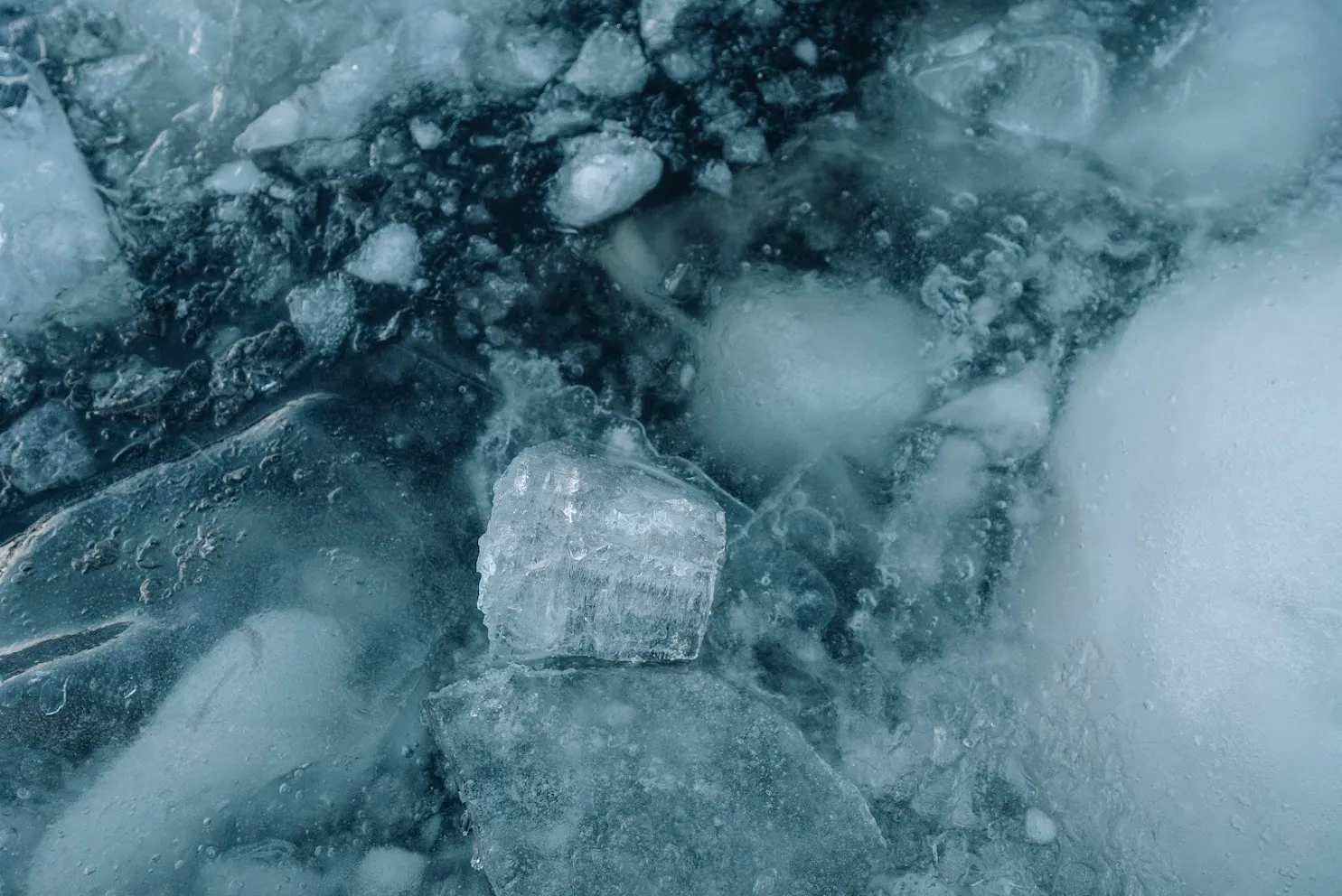 Close-up of broken and partially melted ice chunks on a dark surface.