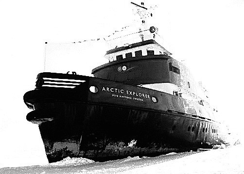 Artic Explorer in bianco e nero